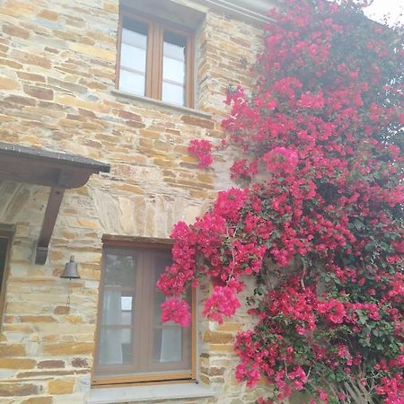 הוילה Lomba Casa Crisanta מראה חיצוני תמונה