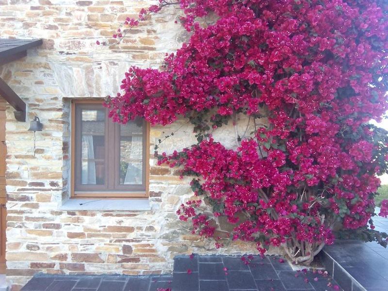 הוילה Lomba Casa Crisanta מראה חיצוני תמונה